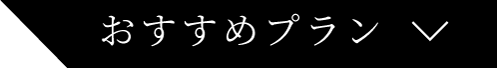 おすすめプラン